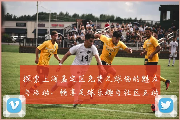 探索上海嘉定区免费足球场的魅力与活动，畅享足球乐趣与社区互动