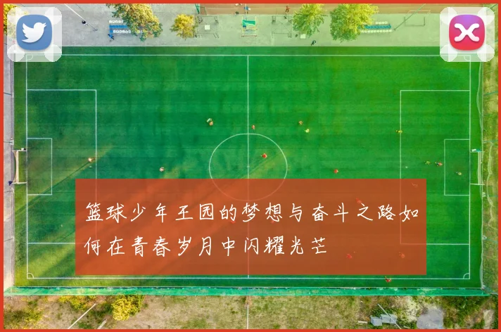 篮球少年王园的梦想与奋斗之路如何在青春岁月中闪耀光芒