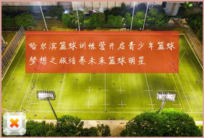 哈尔滨篮球训练营开启青少年篮球梦想之旅培养未来篮球明星