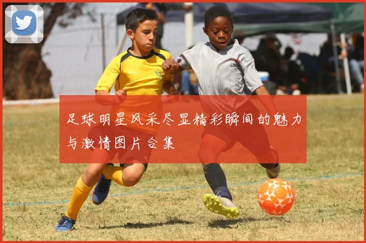 足球明星风采尽显精彩瞬间的魅力与激情图片合集