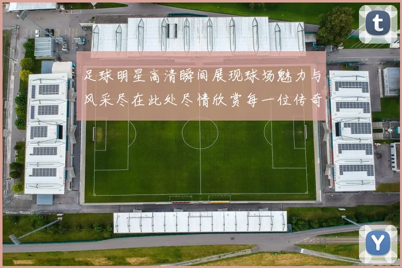 足球明星高清瞬间展现球场魅力与风采尽在此处尽情欣赏每一位传奇球员的精彩表现